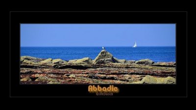 _DSC2521_fd.jpg
