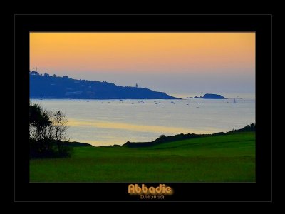 _DSC2644_fd.jpg