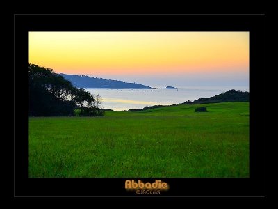 _DSC2646_fd.jpg