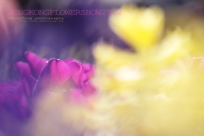 IMG_1423 copy.jpg