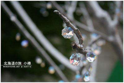 Another shot of the crystal tree