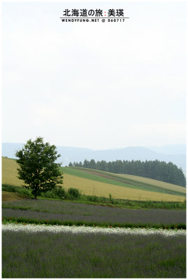 Landscape at Biei
