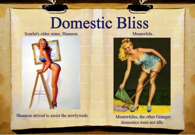 domestic bliss: book 3