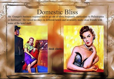 domestic bliss: book 5