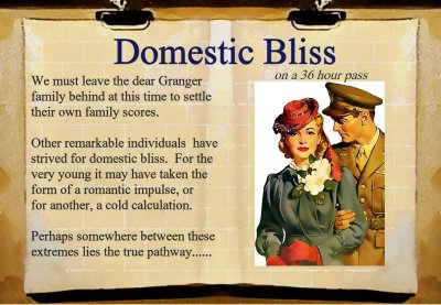 domestic bliss: book 6