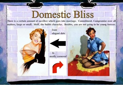 domestic bliss: book 7