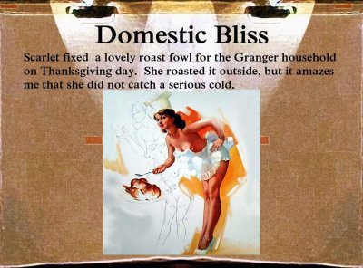 domestic bliss: book 4