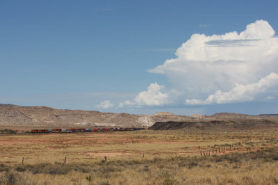 BNSF 7299 east