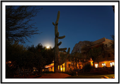Moonrise in Tucson