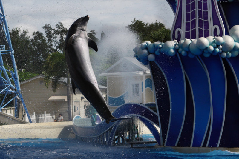 2010_fla_d4_054b.jpg