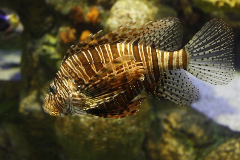 2010_fla_d4_130a.jpg
