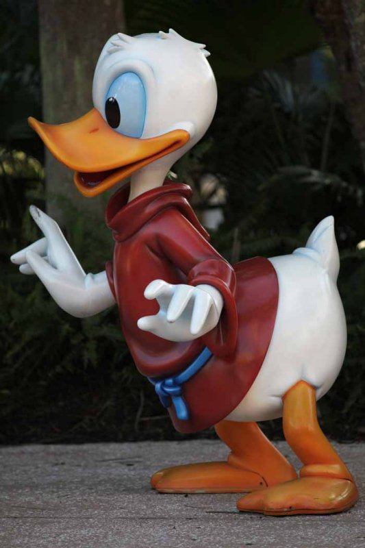 2010_fla_d8_077.jpg