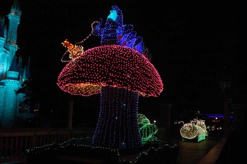 2010_fla_d9_174.jpg