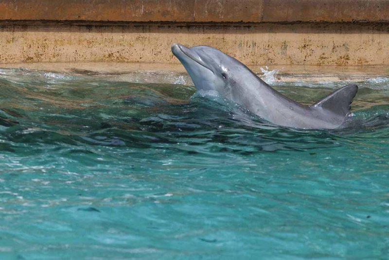 2011_fla_d2_015.jpg