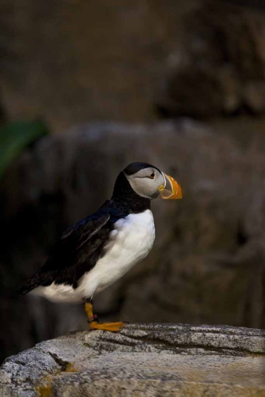 2011_fla_d2_045.jpg