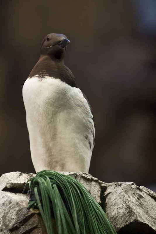 2011_fla_d2_046.jpg