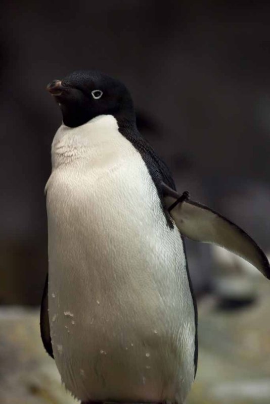 2011_fla_d2_052.jpg