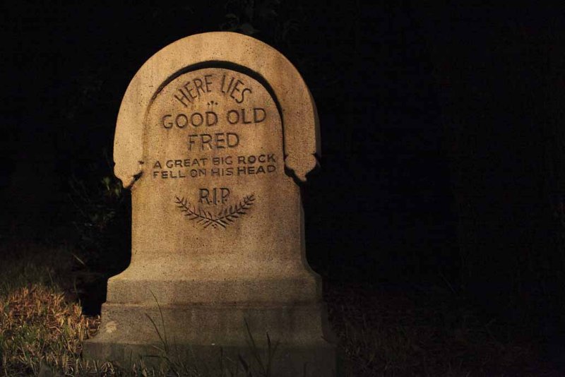 2011_fla_d12_097.jpg