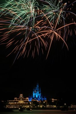 2010_fla_d7_224.jpg