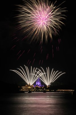 2010_fla_d7_226.jpg