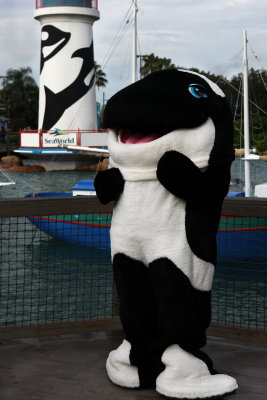 2010_fla_d4_013.jpg