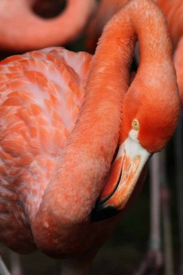 2010_fla_d4_018.jpg