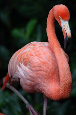 2010_fla_d4_019.jpg
