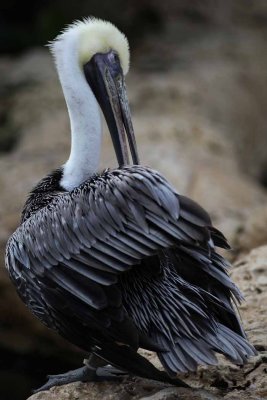 2010_fla_d4_020.jpg