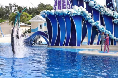 2010_fla_d4_041.jpg
