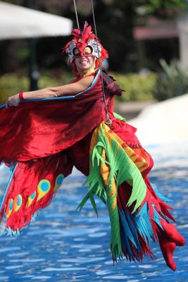 2010_fla_d4_044.jpg