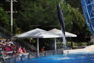2010_fla_d4_052.jpg