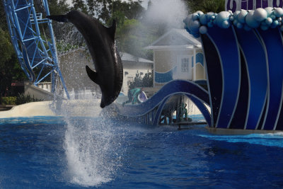 2010_fla_d4_054a.jpg