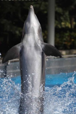2010_fla_d4_055.jpg