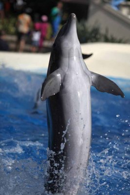 2010_fla_d4_056.jpg