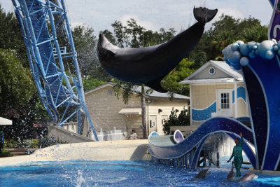 2010_fla_d4_056a.jpg