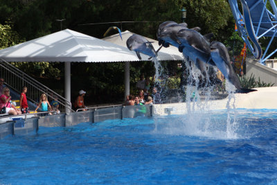 2010_fla_d4_056c.jpg