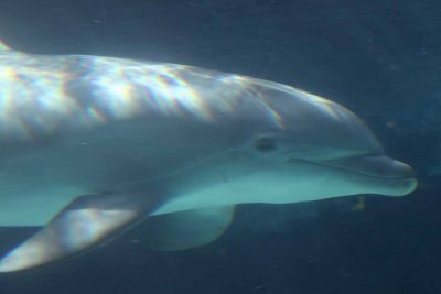 2010_fla_d4_058.jpg