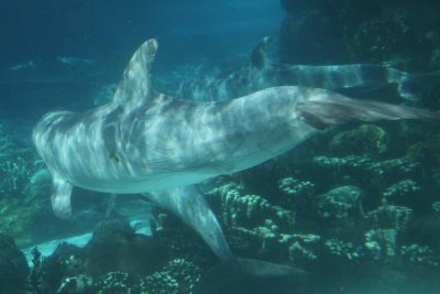 2010_fla_d4_059.jpg
