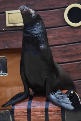 2010_fla_d4_061.jpg