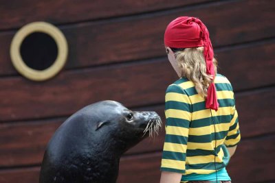 2010_fla_d4_063.jpg