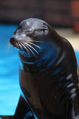 2010_fla_d4_065.jpg