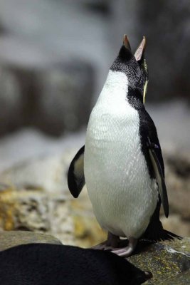 2010_fla_d4_088.jpg