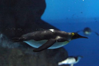 2010_fla_d4_089.jpg
