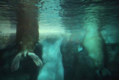 2010_fla_d4_115.jpg