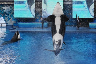 2010_fla_d4_126a.jpg