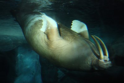 2010_fla_d4_128a.jpg