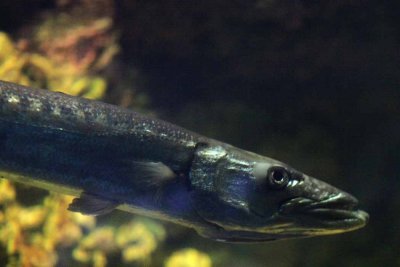 2010_fla_d4_131.jpg