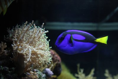 2010_fla_d4_132a.jpg