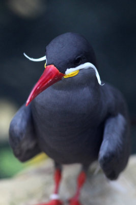 2010_fla_d4_135.jpg
