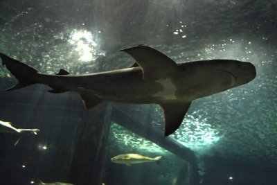 2010_fla_d4_137.jpg
